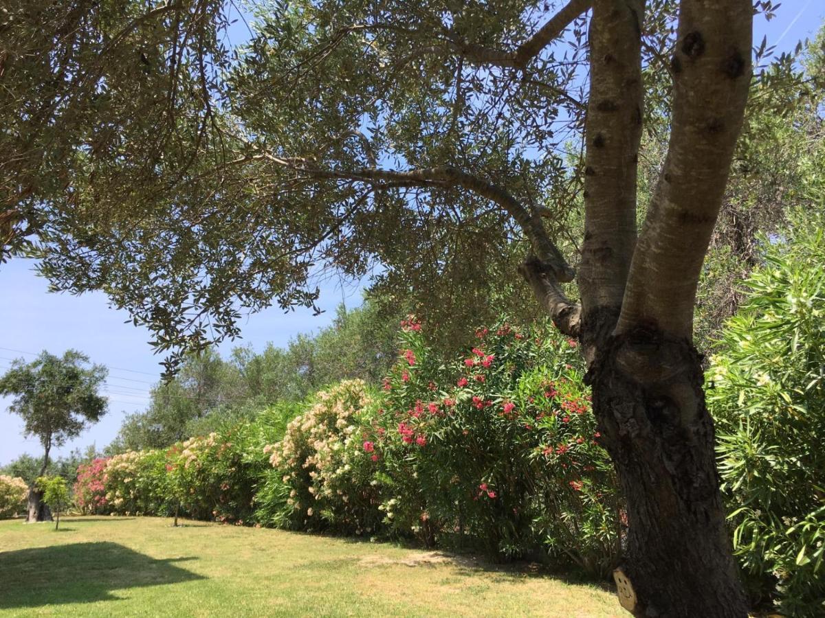 Villa Gecko, Arillas Kavvadades Εξωτερικό φωτογραφία