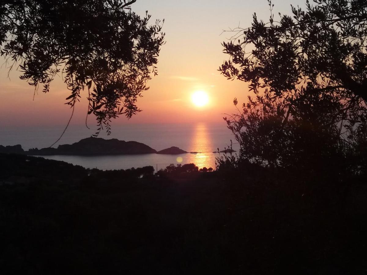 Villa Gecko, Arillas Kavvadades Εξωτερικό φωτογραφία