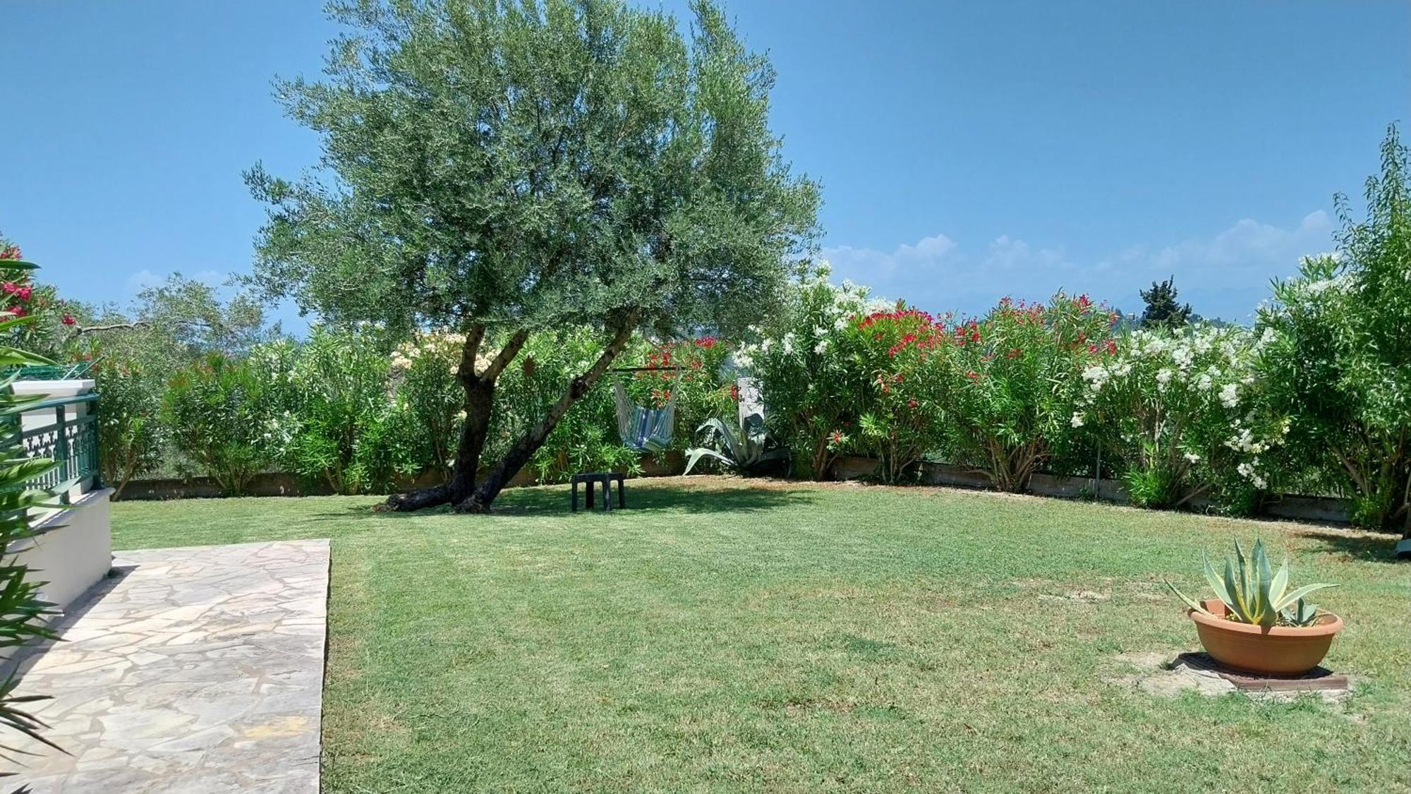 Villa Gecko, Arillas Kavvadades Εξωτερικό φωτογραφία